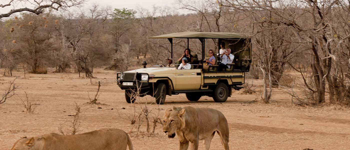 A guide to Tanzania safari planning for senior citizens