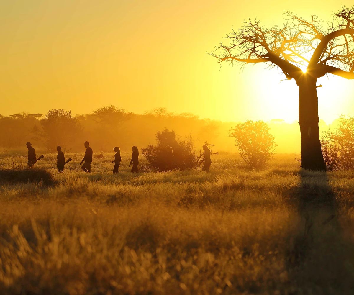 walking in ruaha