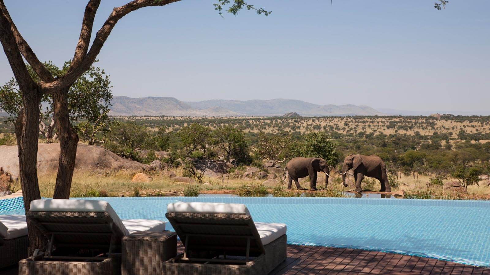 Legendary Serengeti Mobile Camp, Best Tanzania Safari Lodges