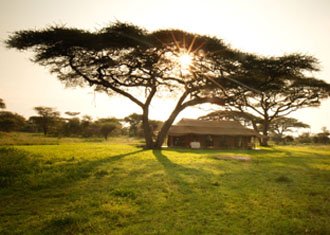 Zanzibar Hotels and Tanzania Safari Lodges; Where to stay